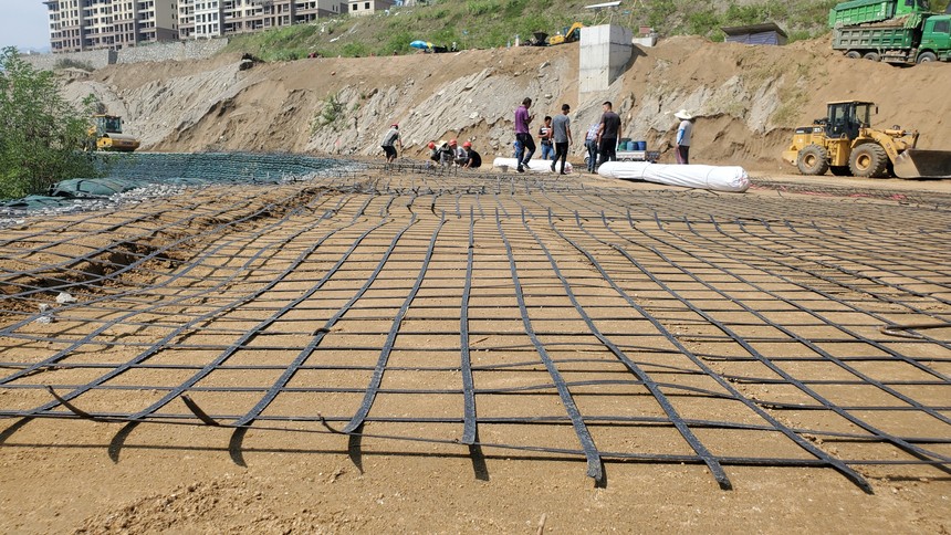 �����������������ɳ��·���w��(qi��ng)��